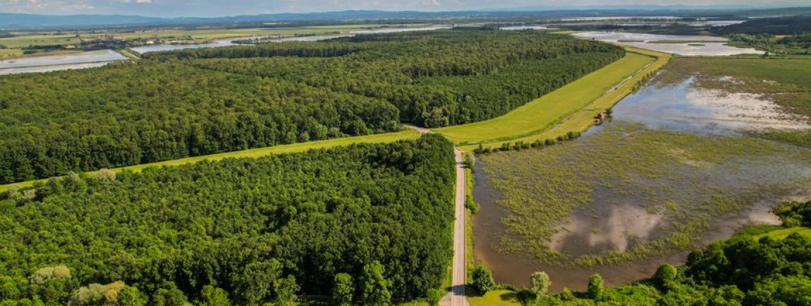 Typowy widok z drona — perspektywa lotnicza