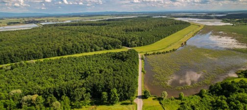 Typowy widok z drona — perspektywa lotnicza