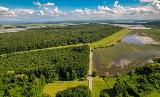 Typowy widok z drona — perspektywa lotnicza